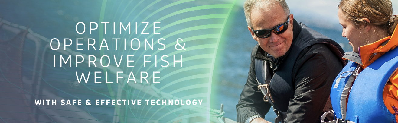 optimize operations & improve fish welfare